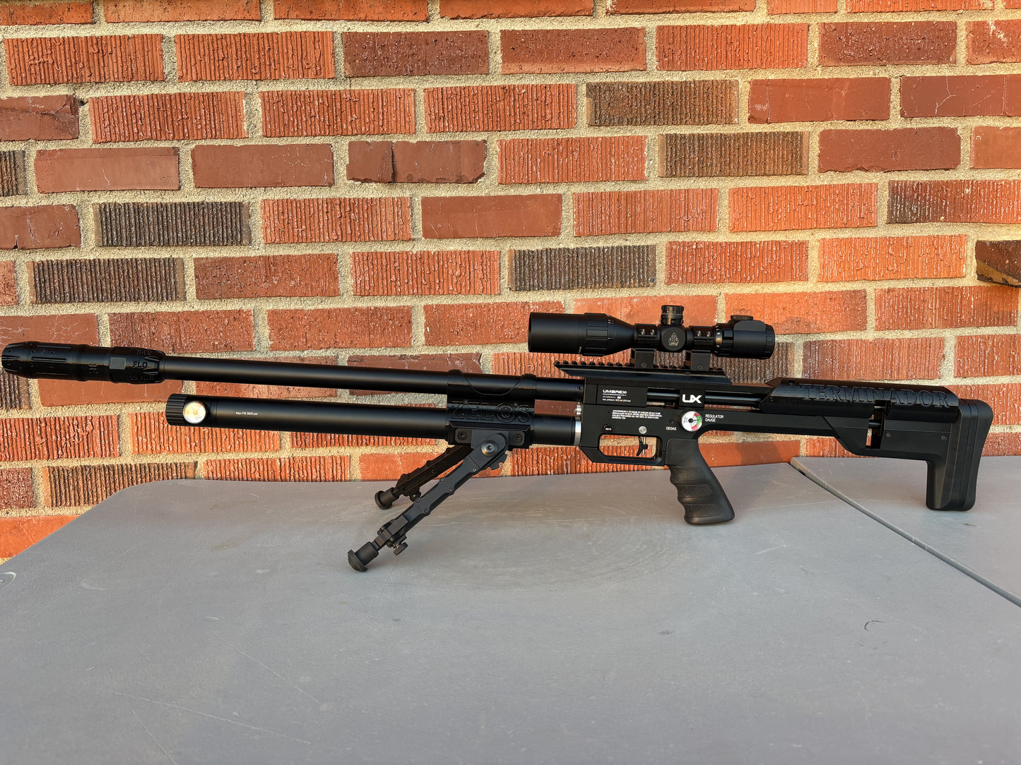 Umarex Zelos 22 Caliber Build Terminador Monthly