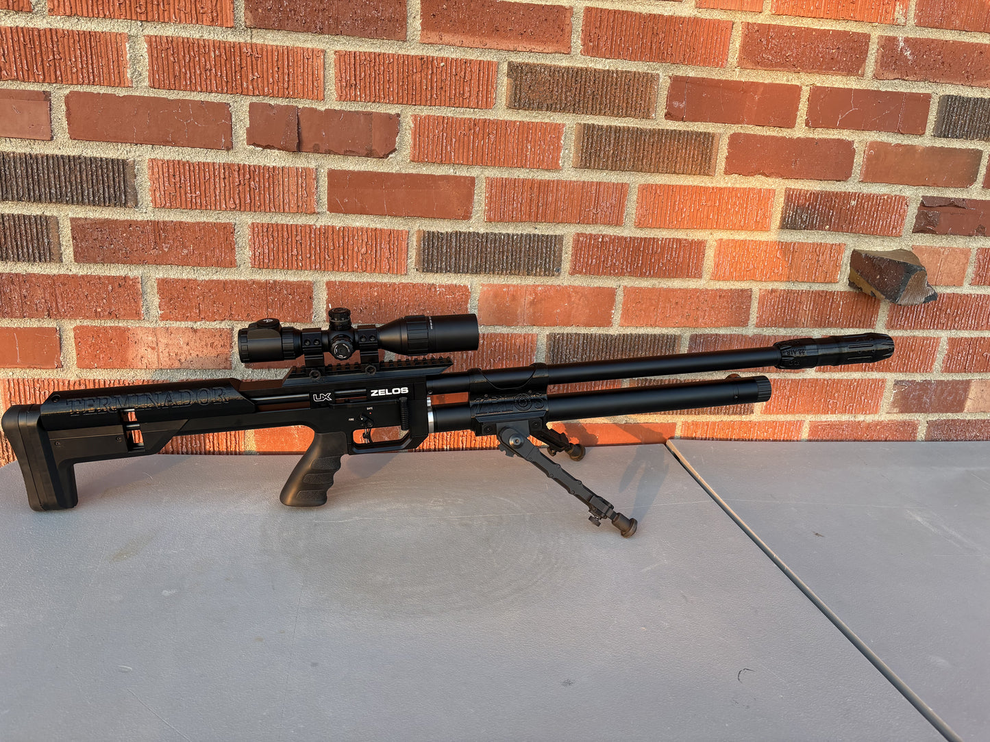 Umarex Zelos 22 Caliber Build Terminador Monthly
