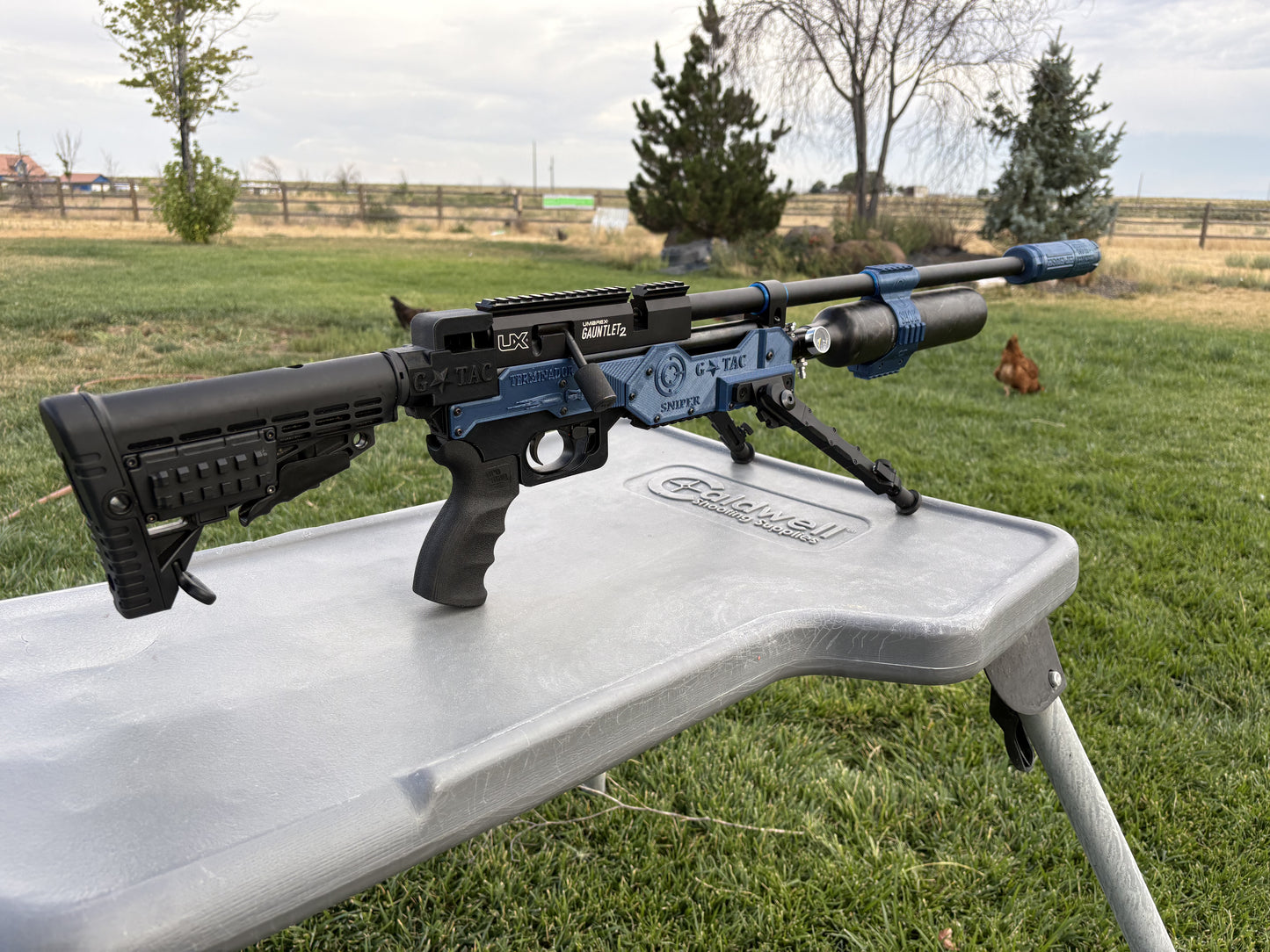 Umarex Gauntlet 22 Caliber Build Terminador Monthly