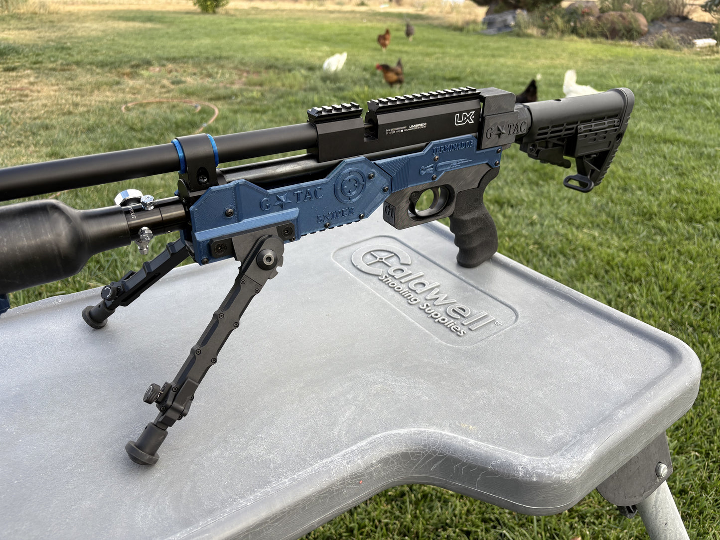 Umarex Gauntlet 22 Caliber Build Terminador Monthly