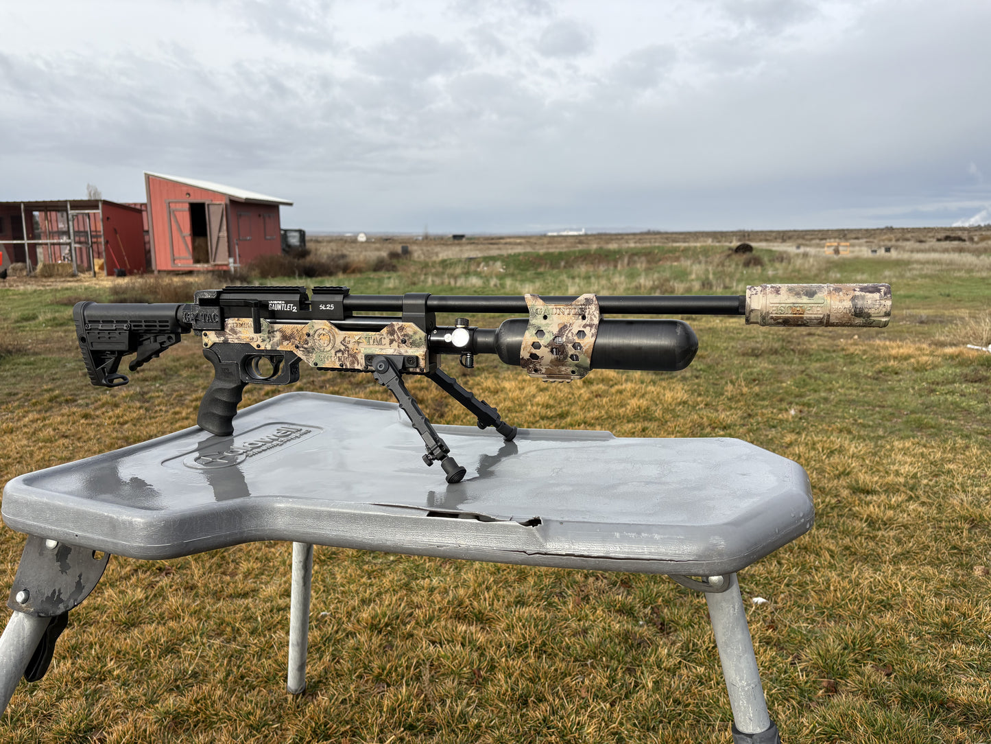 Umarex Gauntlet Build Terminador Monthly