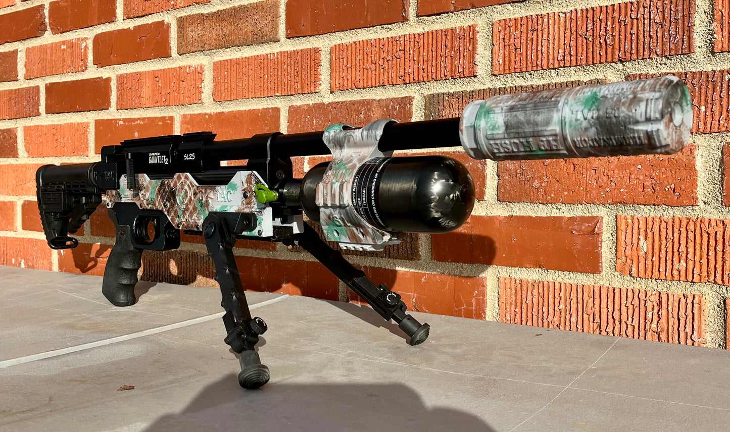 Umarex Gauntlet 25 Cal Carbine Build